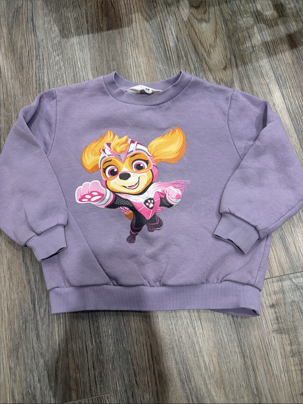 H&M Paw Patrol Sweater